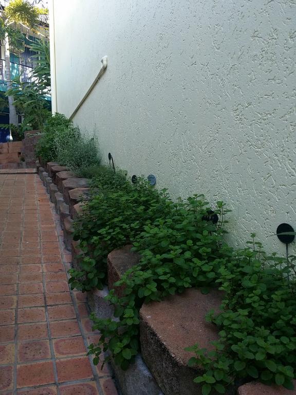 Reef Lodge Backpackers Townsville Eksteriør bilde